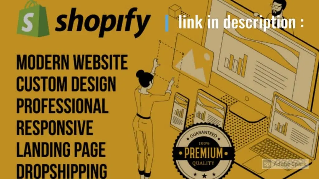I will build a kickass website and dropshipping shopify store