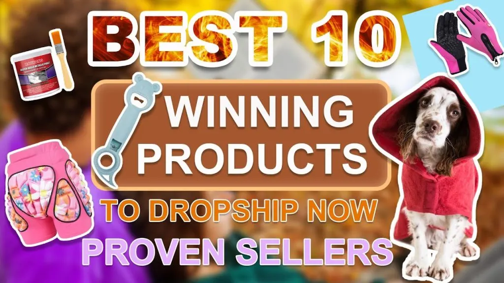Best 10 Winning Products to Dropship Now | Proven Sellers