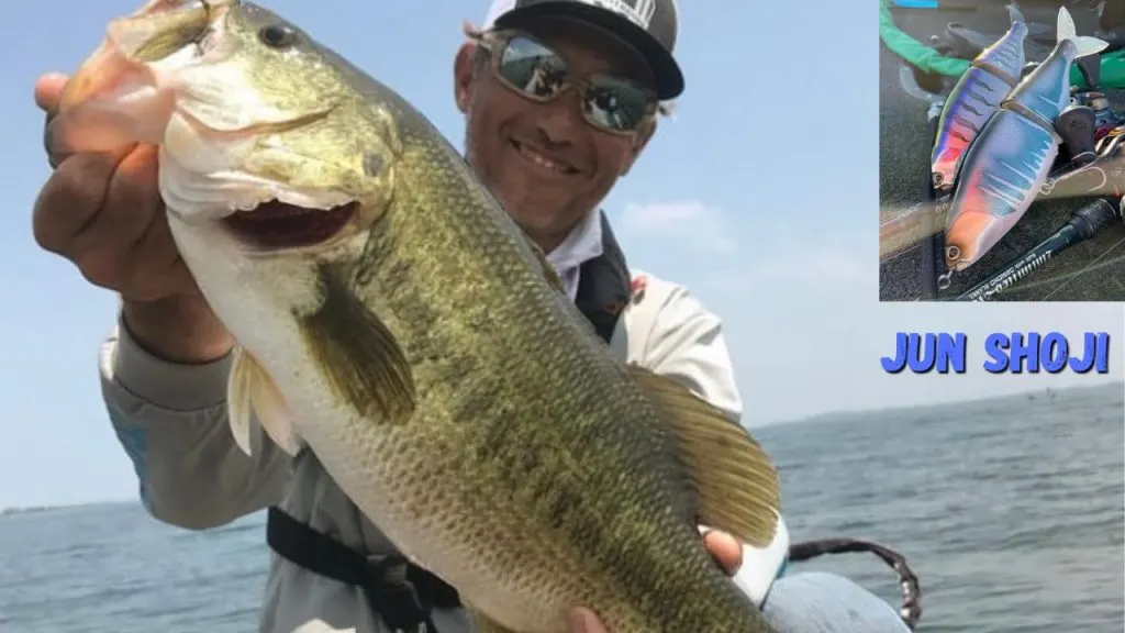 Dream Express Lures Japanese Swimbait Master Jun Shoji