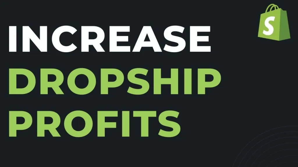 How to Increase Shopify Dropshipping Profits 2022