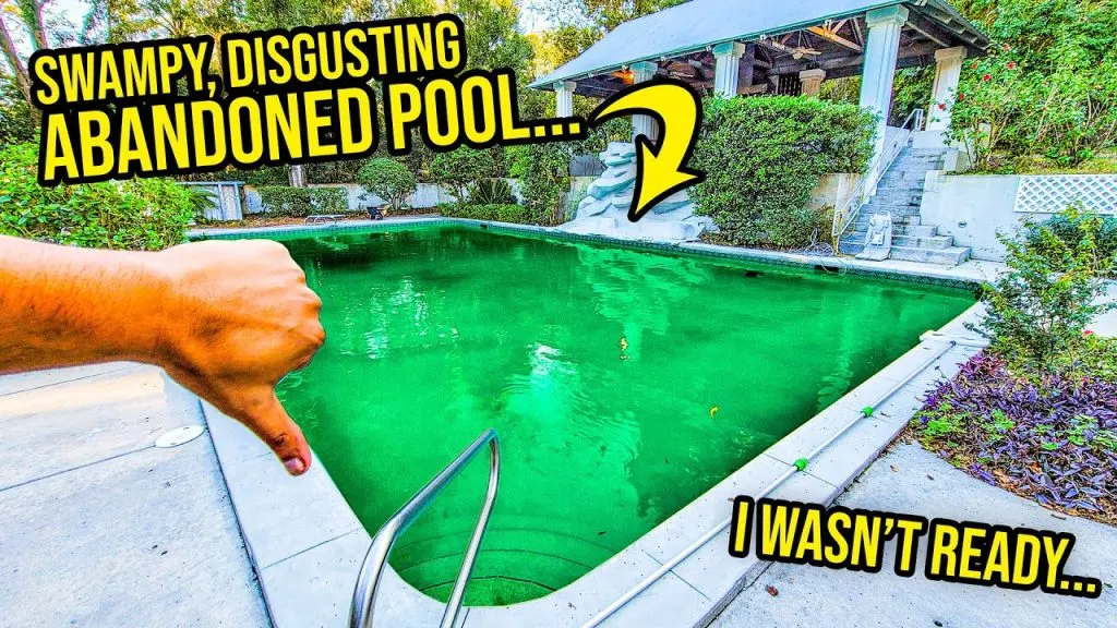 My Dream House's Giant Pool Turned Into A SWAMP...Can I Fix It Myself? | Project Dream House Part 2