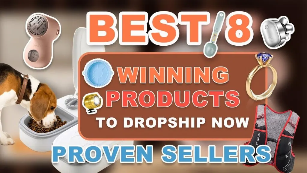 Best 8 Winning Products to Dropship in 2023 | Proven Sellers